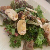 Benoit Alain Ducasse - 