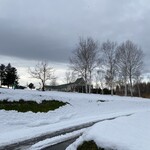 レストラン・マッカリーナ - 