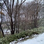 レストラン・マッカリーナ - 