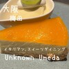 Unknown Umeda