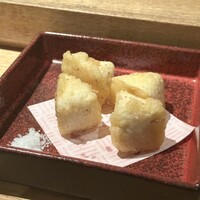 KOiBUMi - 