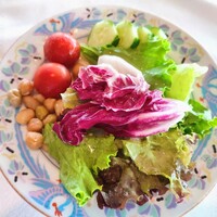 パノラミックレストラン ル・ノルマンディ - グリーンサラダ パノラミックレストラン ル・ノルマンディ - グリーンサラダ