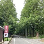 Hayama Kohi - 葉山珈琲からセコメタイア並木