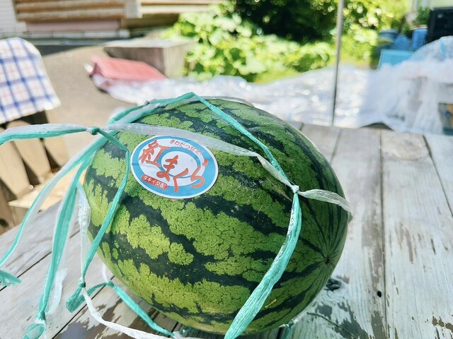 藤林商店 - 富良野市その他（その他）の写真