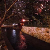 割烹 やました - 