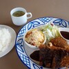 Yamaneko Ken - 欲張りセットの御飯大盛りで1200円