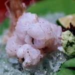 割烹 Kugi - 鱧の焼霜造り