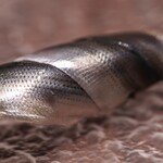 割烹 Kugi - 小肌の握り