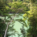 TOSACO TAP STAND - 眼下に流れるのは、物部川。