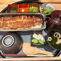 うなぎ四代目菊川 ミッドランドスクエア 名古屋本店 - 