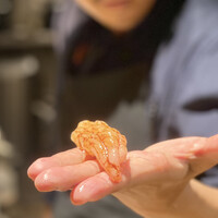 RAMA 白金 - 