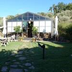 Terre di Baccio - 