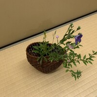 美濃吉本店 竹茂楼 - 