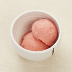 seasonal sorbet