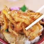 Hatagoya - かきあげ丼