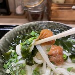 Honkakuha Hakata Udon Hasida Taikiti - 南高梅はまろやかな酸っぱさ