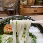 Honkakuha Hakata Udon Hasida Taikiti - ツルモチ博多うどんはキュッと冷やされてほどよいコシ