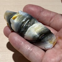 鮨德 - 地物新子三枚付け