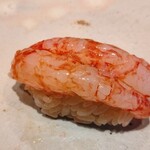 すしやのたい悟 - 北海縞海老（青森）