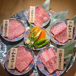 Sumibi Yakiniku Fushimiya Hidagyuu Bettei - 