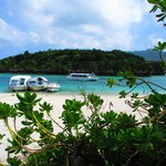 のりば食堂 - 川平湾