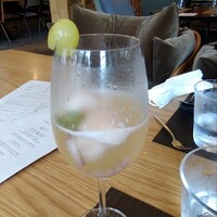 Jose Luis Karuizawa - 