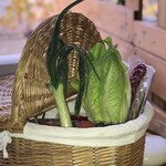 TROSSOS DEL PRIORAT - 