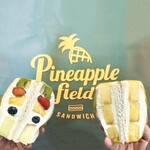 Pineapple Field - 