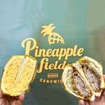 Pineapple Field - 