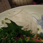 新料理 都留野 - たんタタキ　ズームアップ