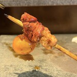 焼鳥 みかど - ちょうちん