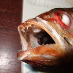 わすけ - のどが黒いわ