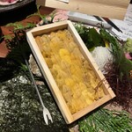 せいもん払い - 