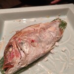 魚とごはん つき灯り - 