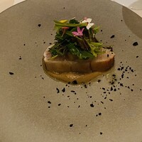 ARMONICO -  ARMONICO -