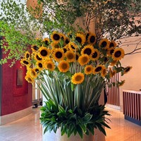 ヘイフンテラス - 