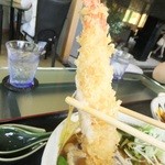 鬼はそと福はうち - １日２０食限定　極厚角煮・海老天・温玉入りカレーうどん　１４００円　大海老天　【　２０１３年８月　　】