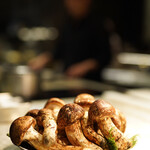 スガラボヴィー - 