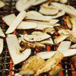 スガラボヴィー - 