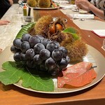 スガラボヴィー - 