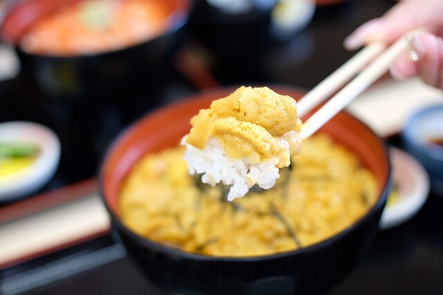 食事処 いさりび - むつ市その他（食堂）の写真