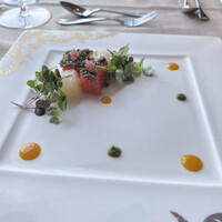 サンシャイン クルーズ・クルーズ - 