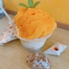 Hau tree gelato - 