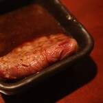 よろにく - ツチノコ