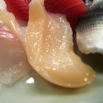 かぐら坂 新富寿司 - 刺身盛り合わせ（ツブ貝）