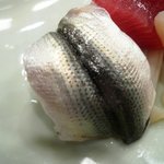 かぐら坂 新富寿司 - 新子