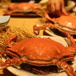 蟹御殿 - 