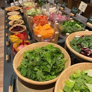 ランチタイム限定！選べるパスタと農園サラダバー付きランチ