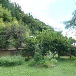 Terowaruaitoibukuro - お庭