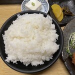 Echigo Tonkatsu Ninjintei - 